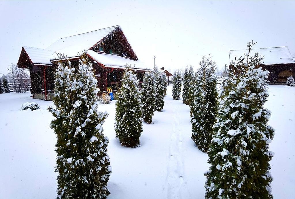 La Casute Bran Villa Bran  Bagian luar foto
