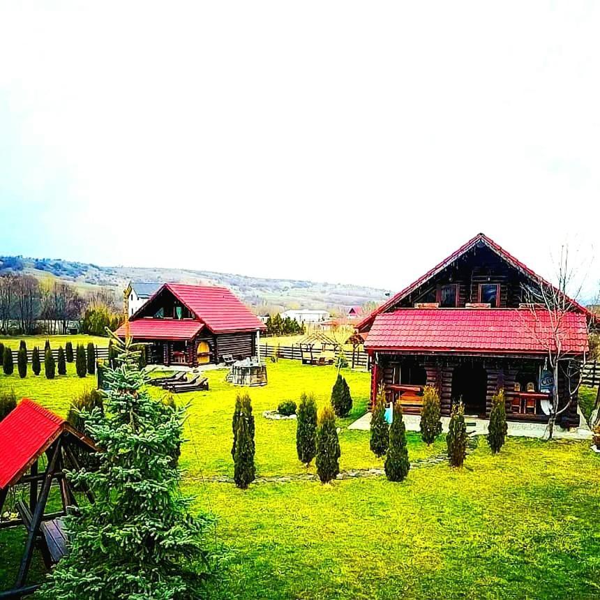 La Casute Bran Villa Bran  Bagian luar foto