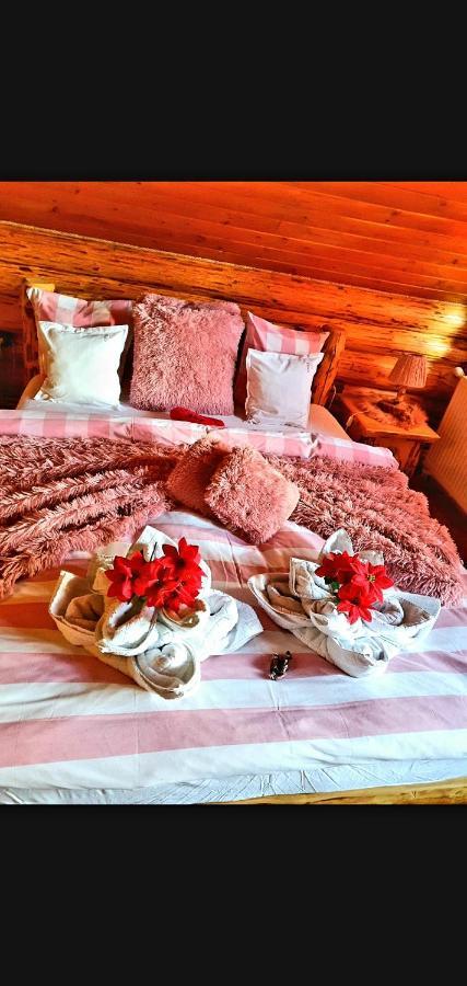 La Casute Bran Villa Bran  Bagian luar foto