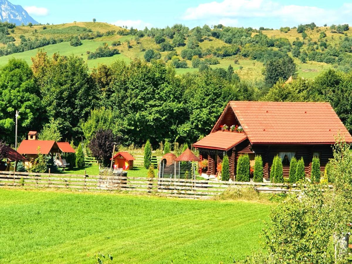 La Casute Bran Villa Bran  Bagian luar foto